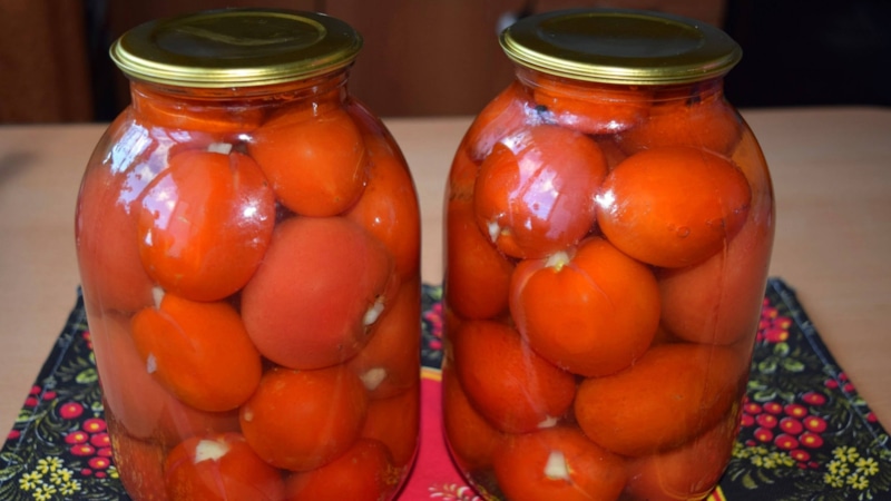 Помидоры с петрушкой: вкус лета Помидоры с петрушкой: вкус лета