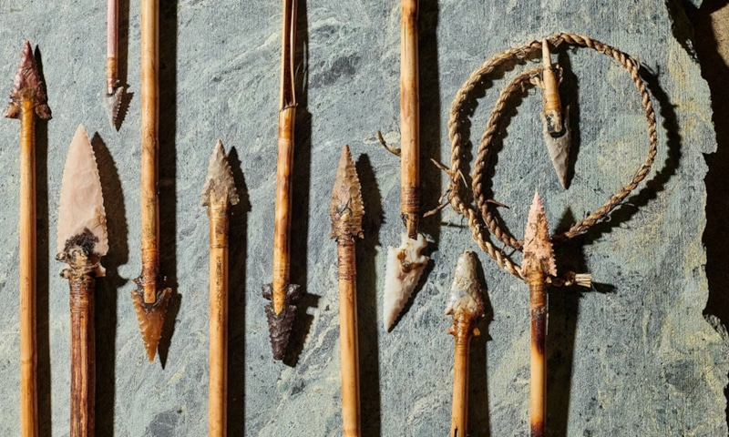 Древние стрелы: следы смертельного яда