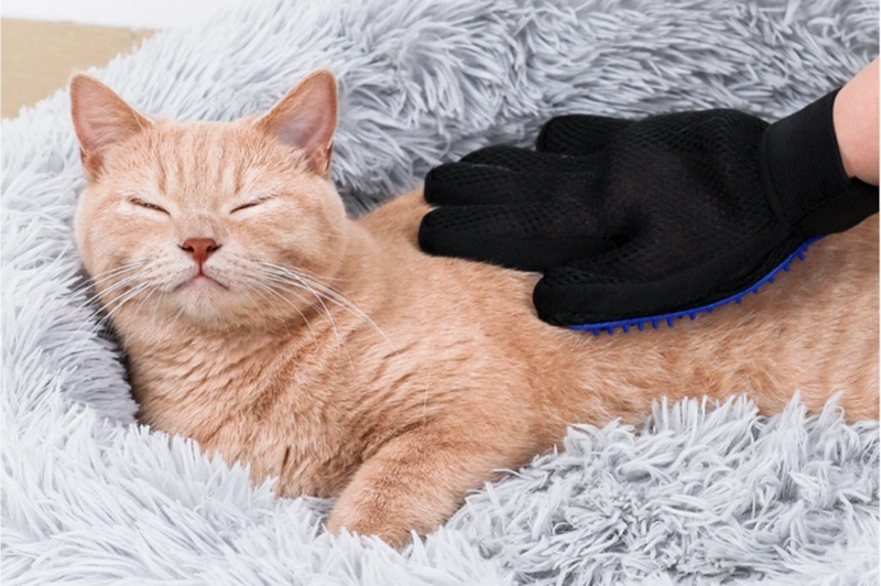 Варежка-расческа: уход за шерстью Варежка-расческа: уход за шерстью