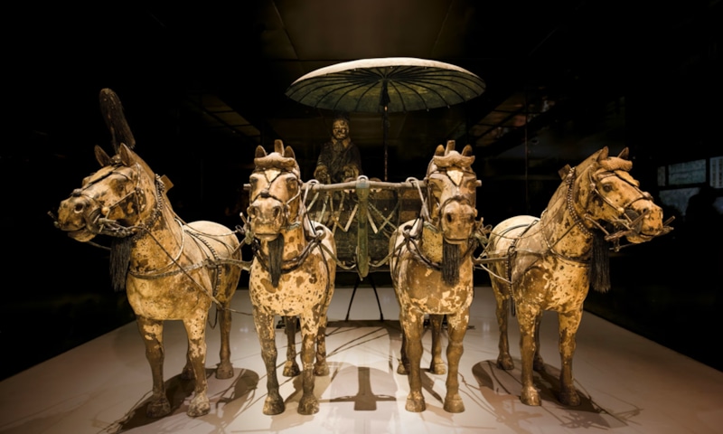 Древние свитки: тайны коневодства