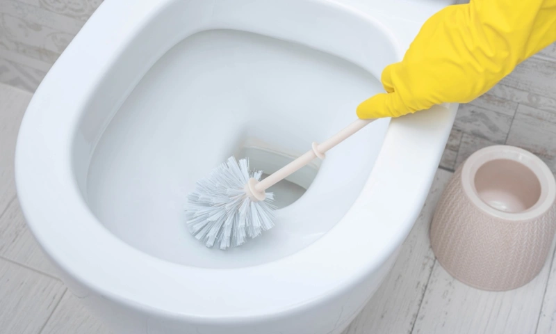 Очистка сантехники: аптечный способ Очистка сантехники: аптечный способ