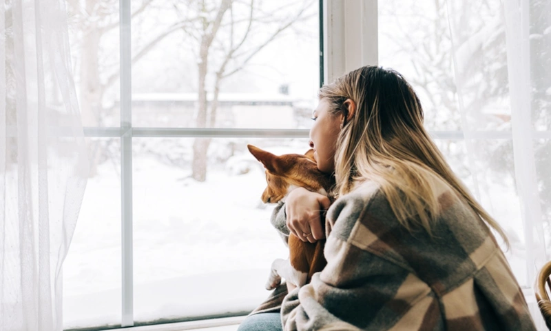 Рыбы в феврале: внутренняя тишина