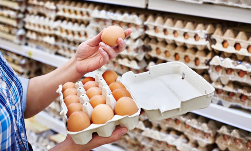 Выбор яиц в магазине: признаки свежести