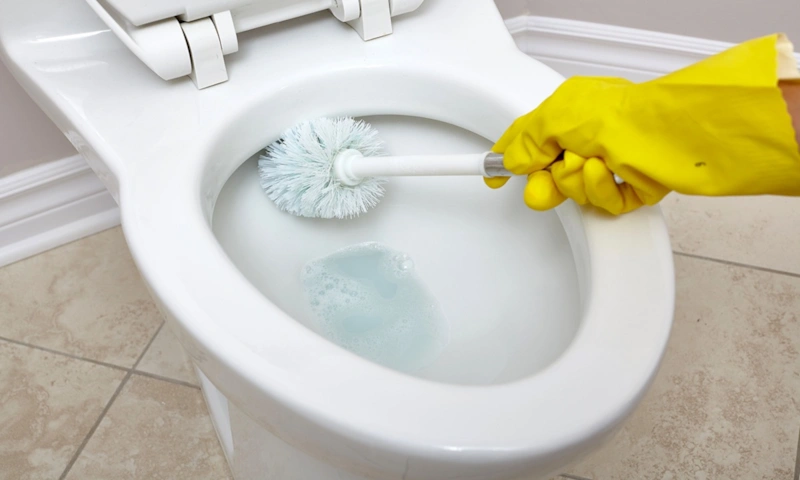 Чистка сантехники дома: результат без химии Чистка сантехники дома: результат без химии