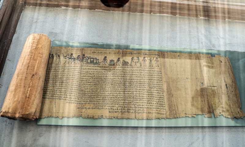 Древние книги: папирус и пергамент