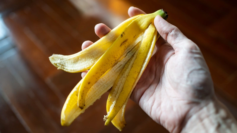 Банановая кожура: подкормка для цветов