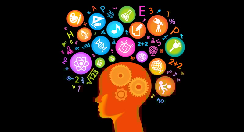 Интеллект и гены: влияние среды