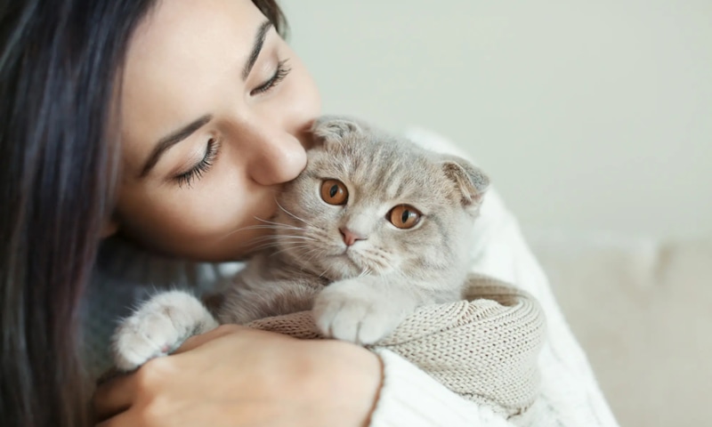 Неудачная кличка: кошка не откликается Неудачная кличка: кошка не откликается