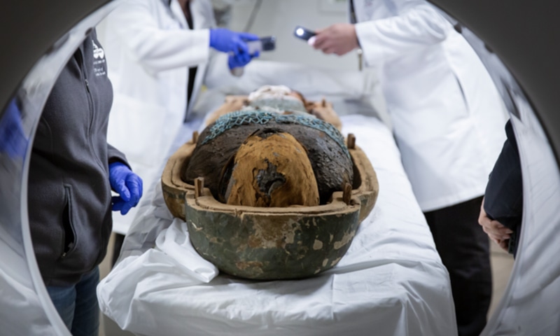 Томография мумий: древняя боль в спине