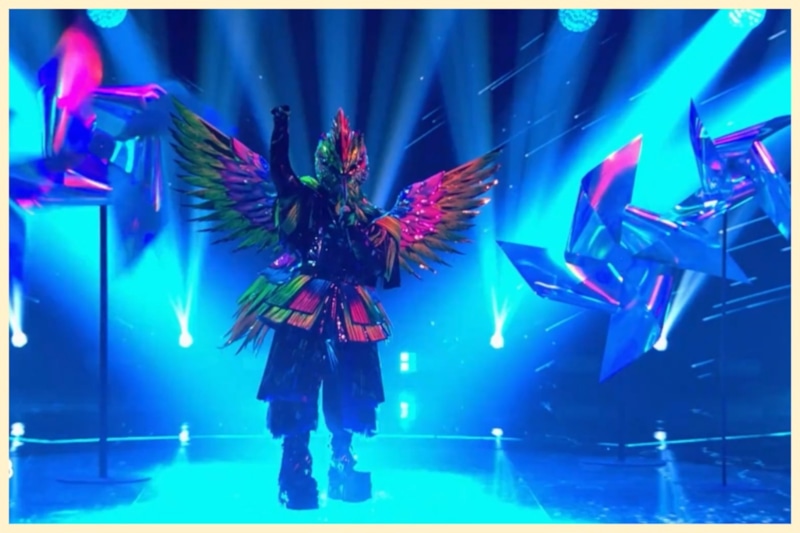 Колибри на шоу «Маска» Колибри на шоу «Маска»