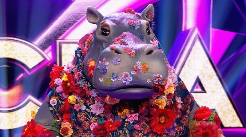 Гиппопотам в шоу «Маска»