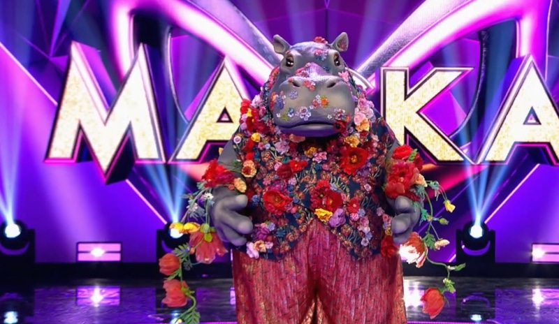 Гиппопотам в шоу «Маска»