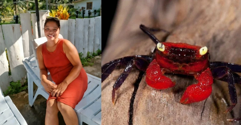 Популярная фудблогер Эмма Амит скончалась в муках из-за краба-дьявола