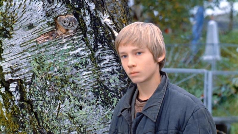 Константин Михайлов в фильме «Любовь и голуби»