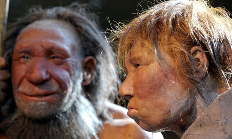 Гибель неандертальцев: родовые осложнения и гены