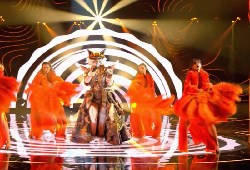 Лиса в шоу ﻿«Маска»