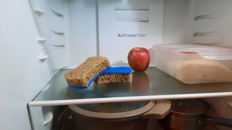 Холодильник без запаха: губка против влаги