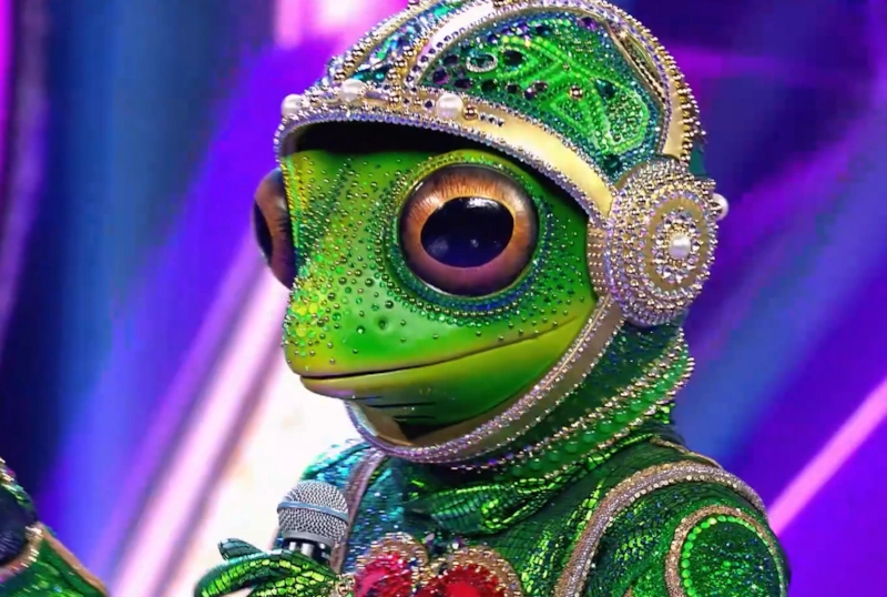 Лягушка в шоу «Маска»