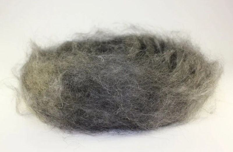 Погреб без мышей: запах жженой шерсти Погреб без мышей: запах жженой шерсти