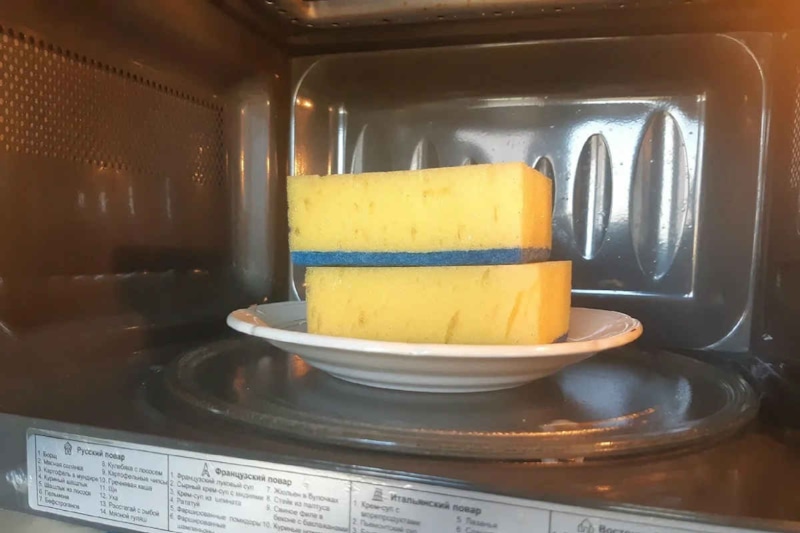 Губка для посуды на кухне: дезинфекция дома