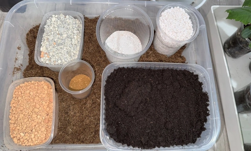 Грунт своими руками: рассада без сюрпризов