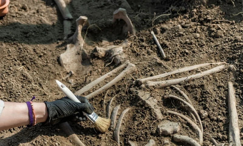 Древние кланы Балтики: генетическая память