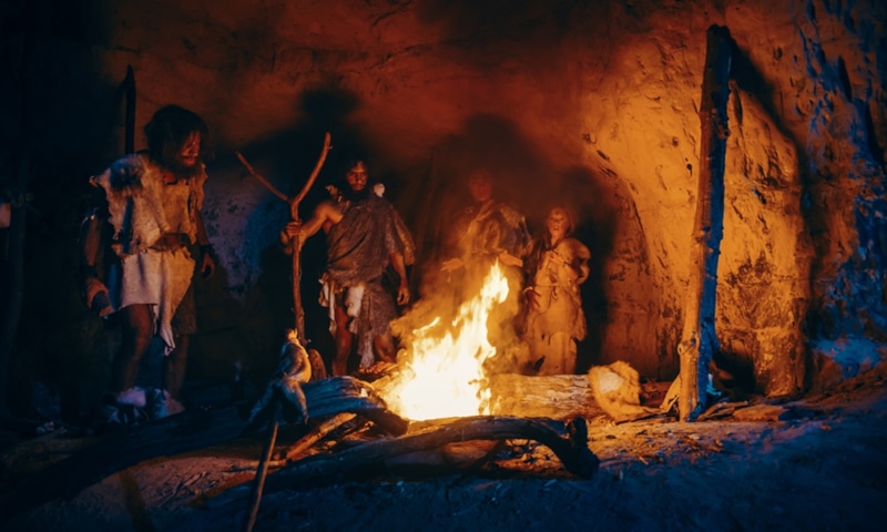 Каменный век: следы древнего рациона