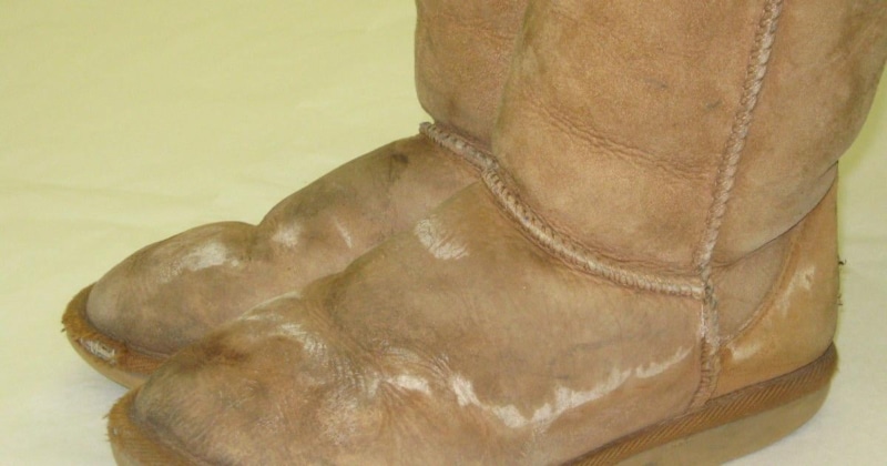 Замша без разводов: спасение уггов