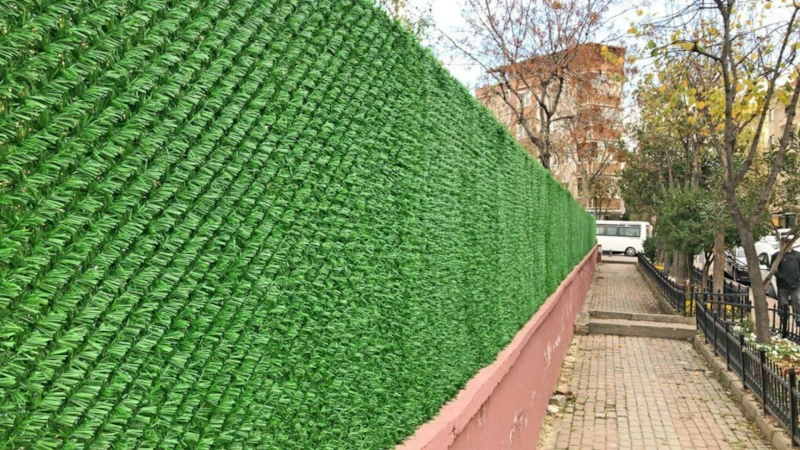 Новый взгляд на участок: зелень без хлопот