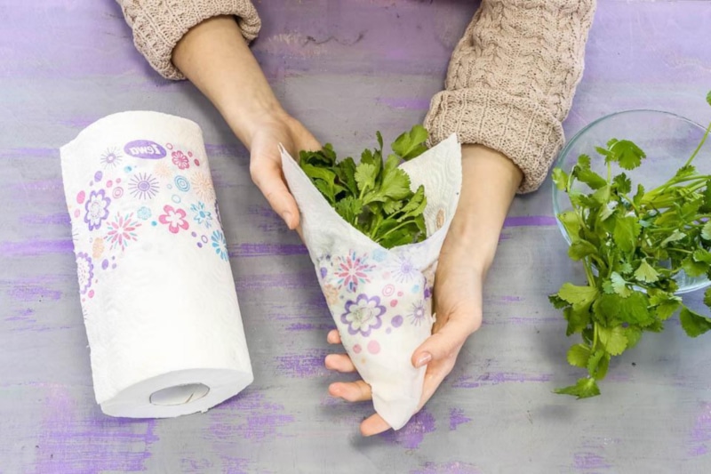 Свежесть без потерь: зеленый запас