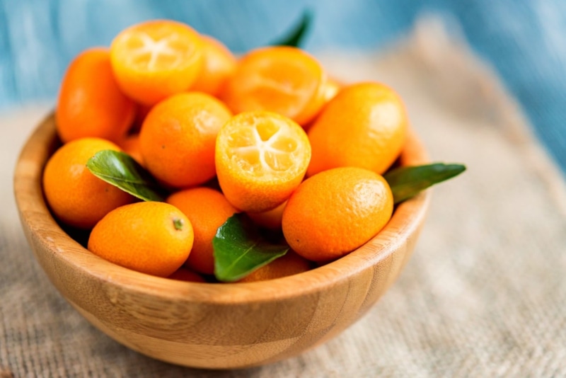 Малый плод: большой ресурс