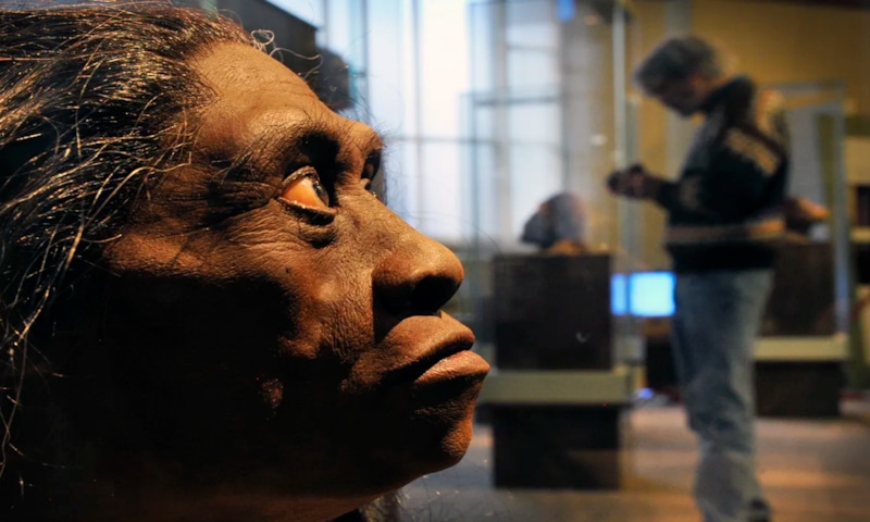 Исчезнувшие хоббиты: след засухи Исчезнувшие хоббиты: след засухи