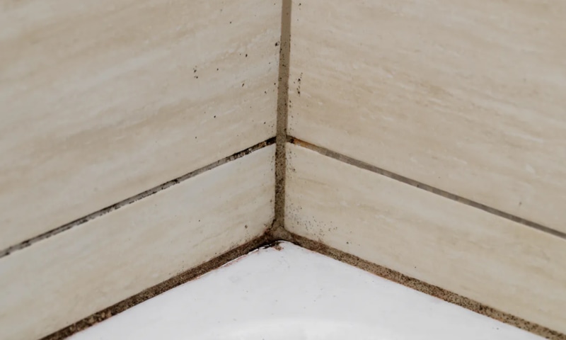 Чистые швы: удар по грибку Чистые швы: удар по грибку