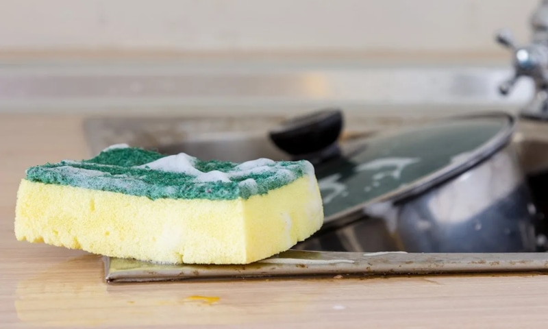 Кухонная губка: скрытая опасность