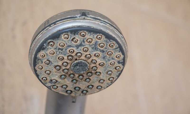 Душевая лейка: очистка от налета Душевая лейка: очистка от налета