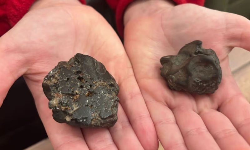 Пляжная находка: древний метеорит