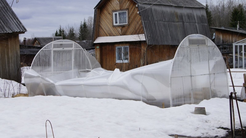 Теплица зимой: безопасная очистка