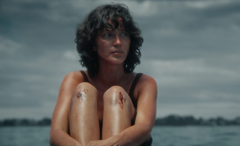 Мел Джарнсон в триллере «Кит-убийца»