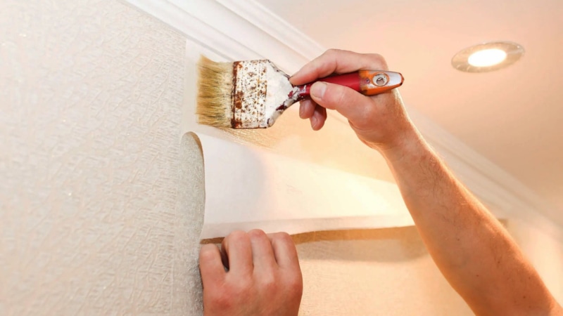Ремонт стен: выбор клея для обоев
