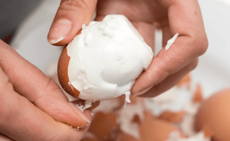 Кулинарная наука кухни: тайна простой скорлупы