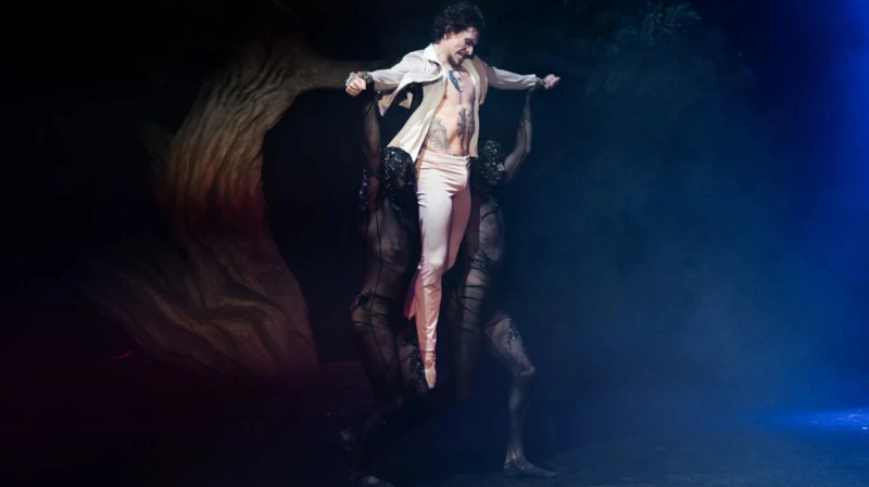 Сергей Полунин в шоу «Сатори»