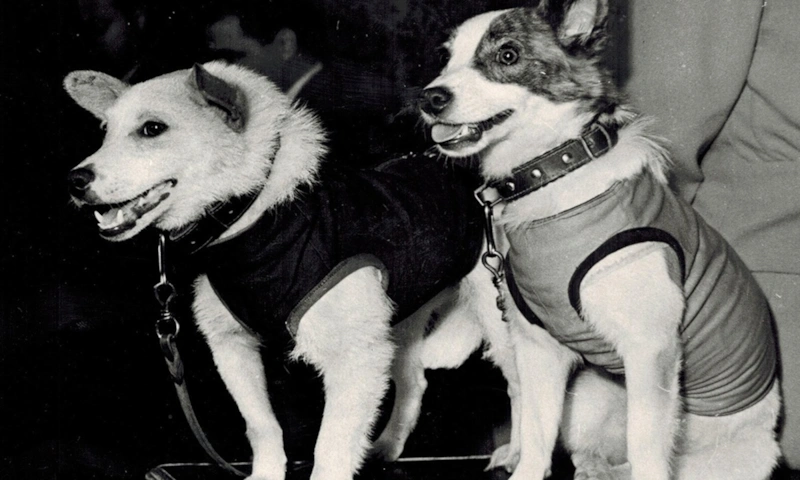 Эпоха космических пионеров: смена научных героев