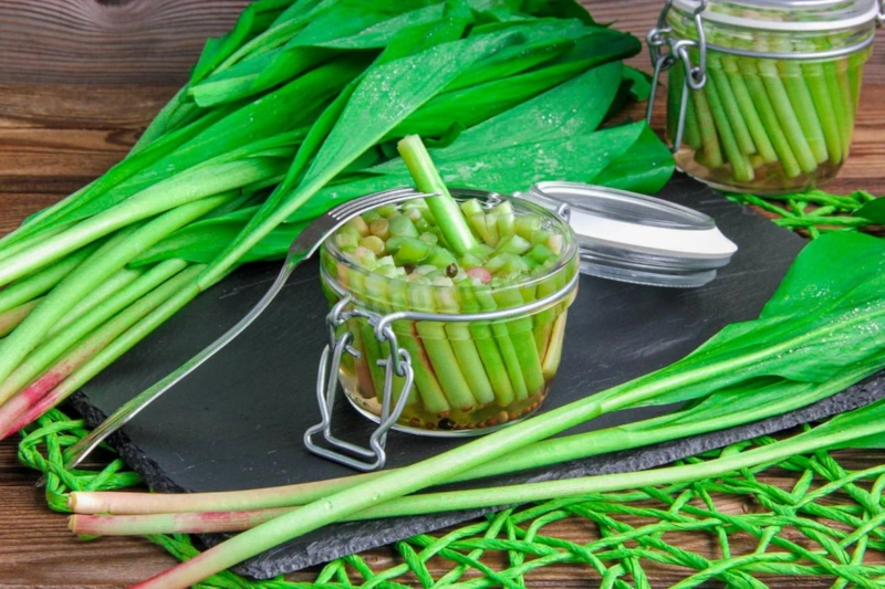  Сила весенней зелени: природная защита организма