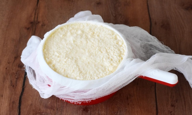 Домашнее сыроварение просто: сливочный результат Домашнее сыроварение просто: сливочный результат