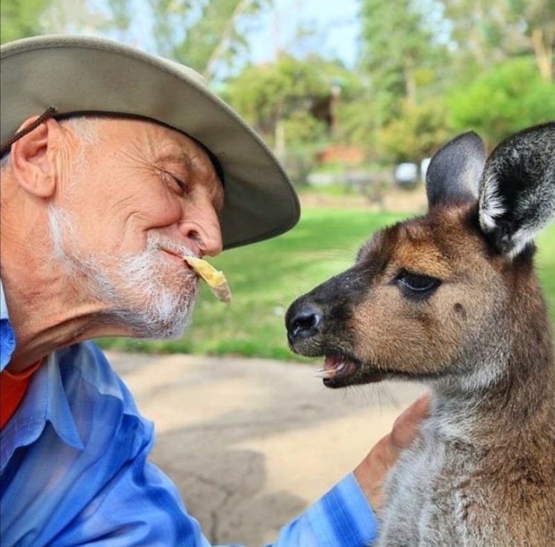 Николай Дроздов