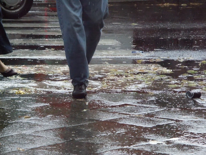 Иллюзия причины болезни: скрытые механизмы иммунитета Иллюзия причины болезни: скрытые механизмы иммунитета