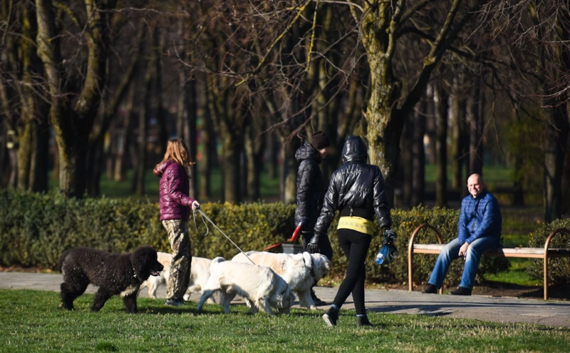 Здоровье питомца: тревожные сигналы