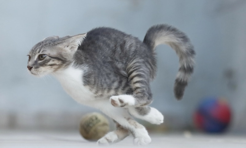 Внезапный всплеск: энергия после облегчения