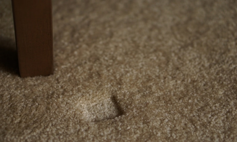 Мягкость возвращается: восстановление объема ворса