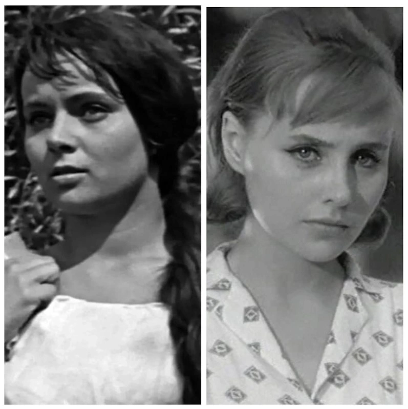 Валентина Николаенко и Мария Стерникова (похожи) Валентина Николаенко и Мария Стерникова (похожи)